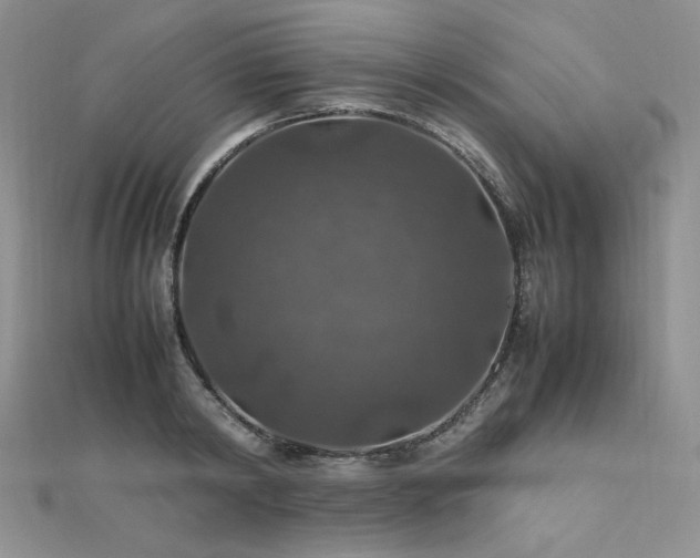 X0000112010798200908031306