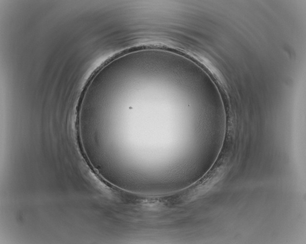 X0000112010799200908031306