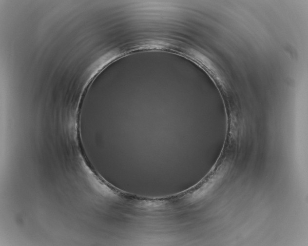 X0000112010802200908031306