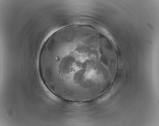X0000112010803200908031306