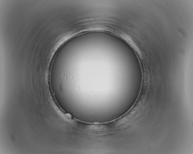 X0000112010805200908031306