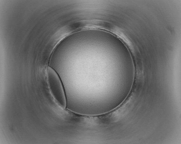 X0000112010809200908031305