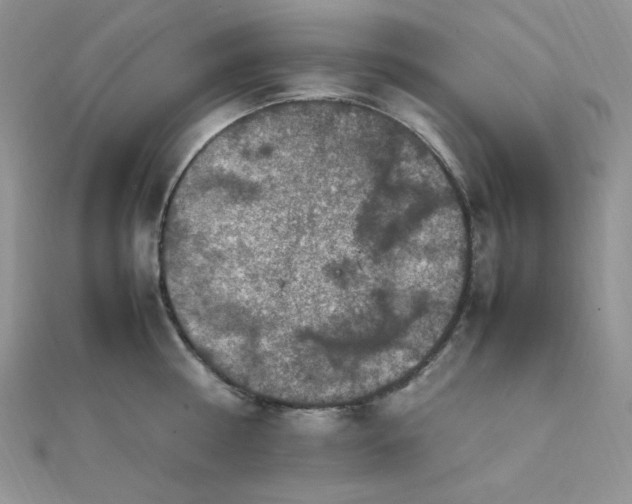 X0000112010810200908031305