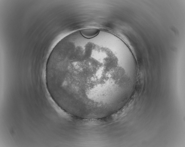 X0000112010811200908031305