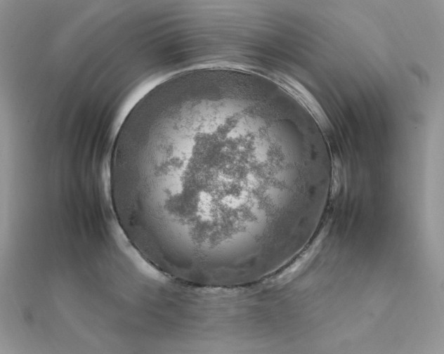 X0000112010812200908031305