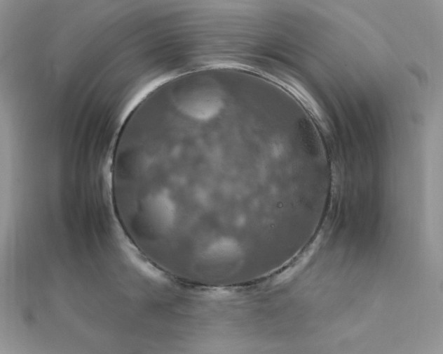 X0000112010814200908031305