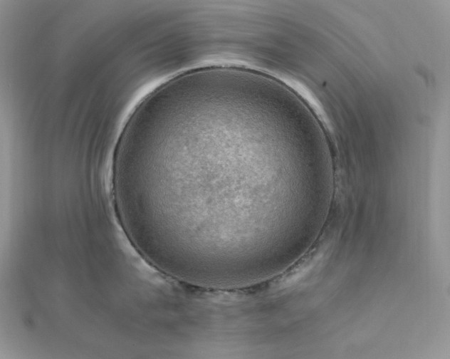 X0000112010815200908031305