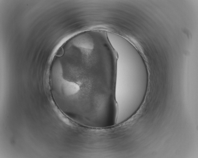 X0000112010816200908031305