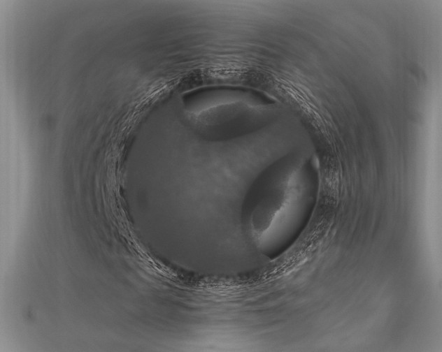 X0000112010817200908031305