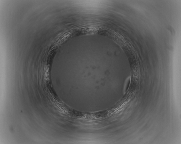 X0000112010818200908031305