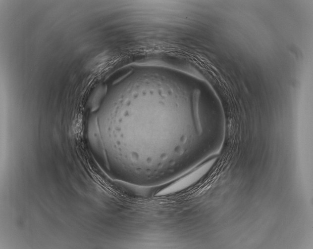 X0000112010820200908031305