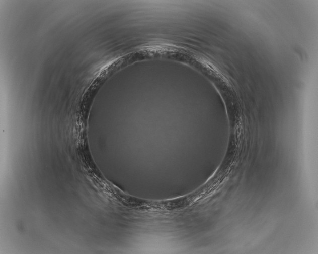 X0000112010822200908031305