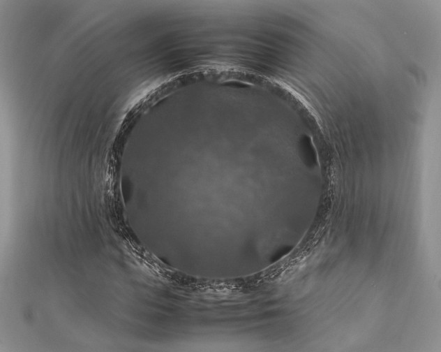 X0000112010823200908031305