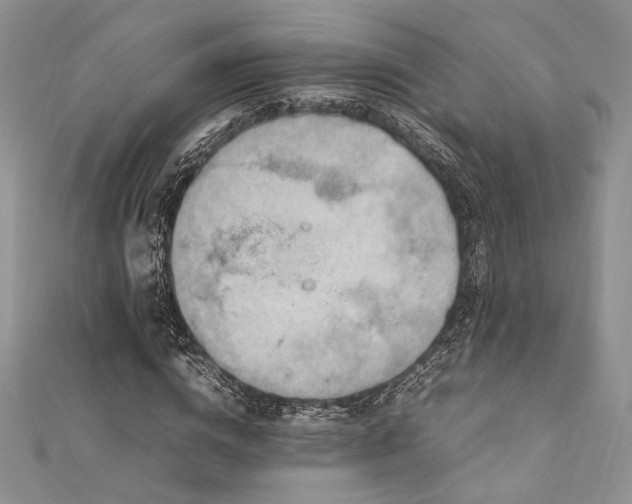 X0000112010824200908031305