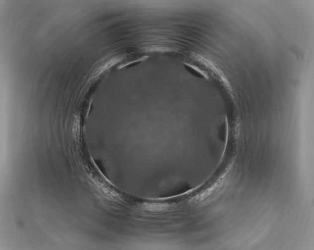 X0000112010825200908031305