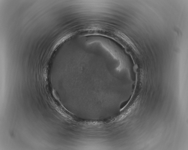 X0000112010826200908031305