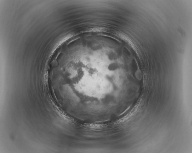 X0000112010827200908031305