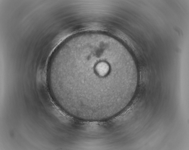 X0000112010828200908031305