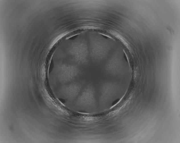 X0000112010829200908031305