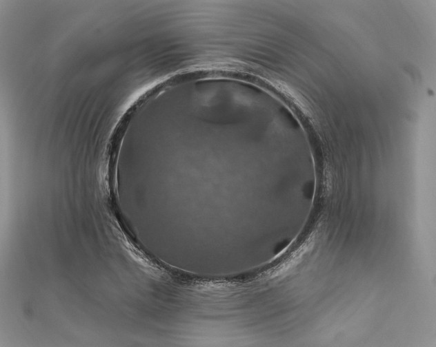 X0000112010830200908031305