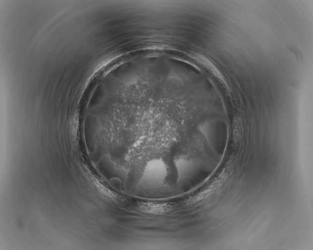 X0000112010831200908031305
