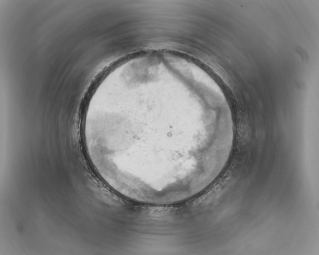X0000112010832200908031305