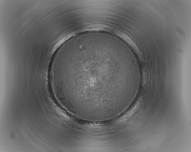 X0000112010834200908031305