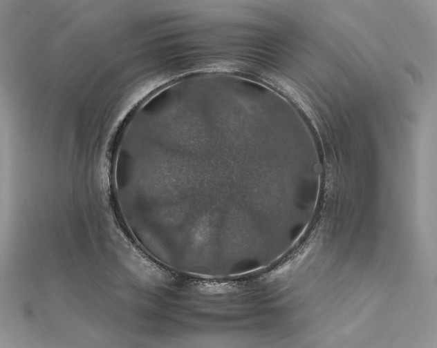 X0000112010835200908031305