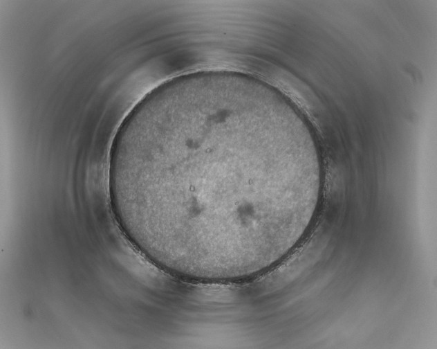 X0000112010836200908031305