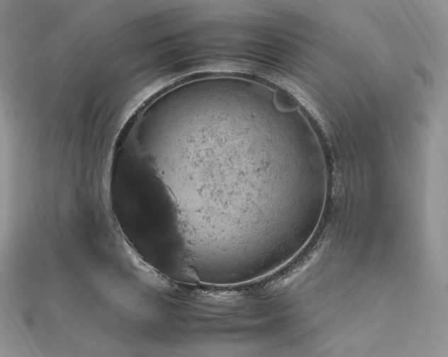 X0000112010837200908031305