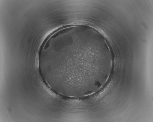X0000112010838200908031305