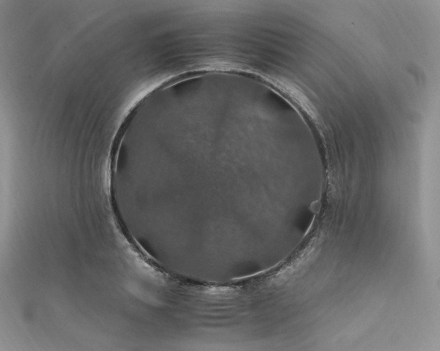 X0000112010839200908031305
