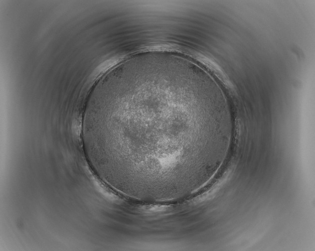 X0000112010841200908031305