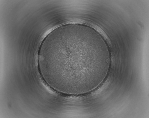 X0000112010842200908031305