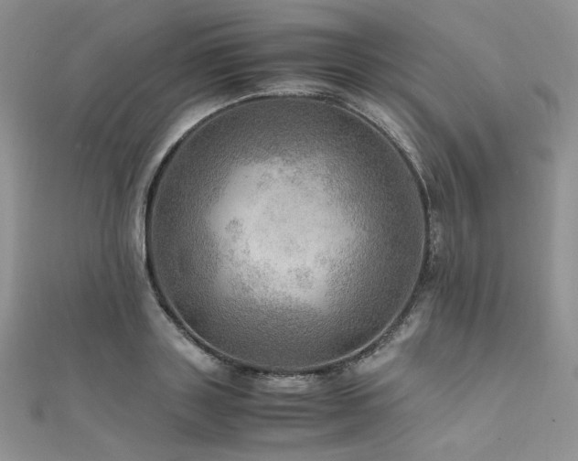 X0000112010843200908031305