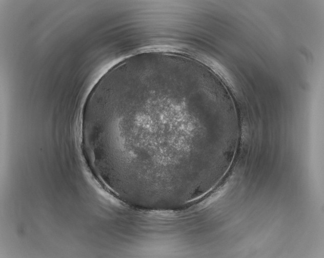 X0000112010844200908031305