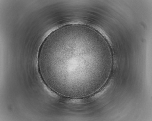 X0000112010845200908031305