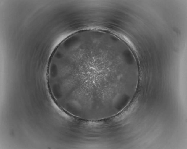 X0000112010847200908031305