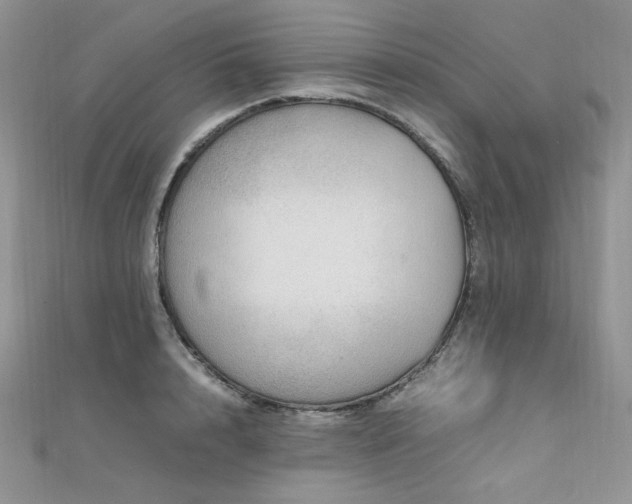 X0000112010848200908031305