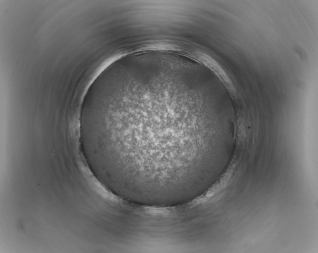 X0000112010852200908031305