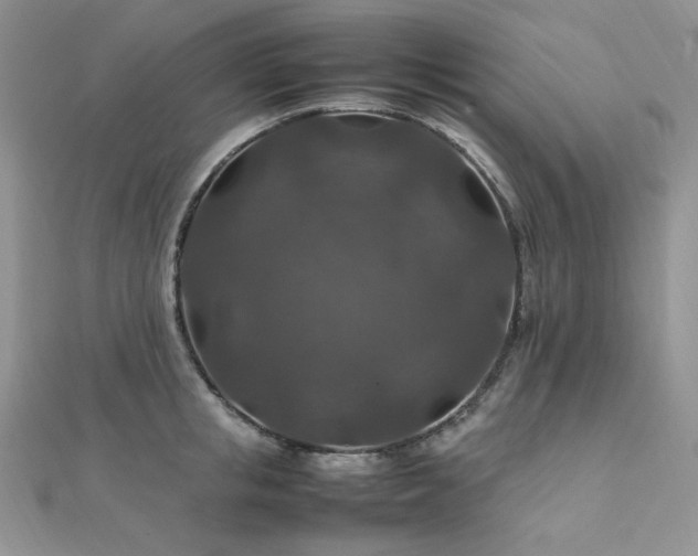 X0000112010853200908031305