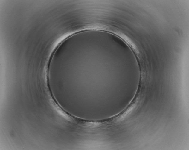 X0000112010854200908031305