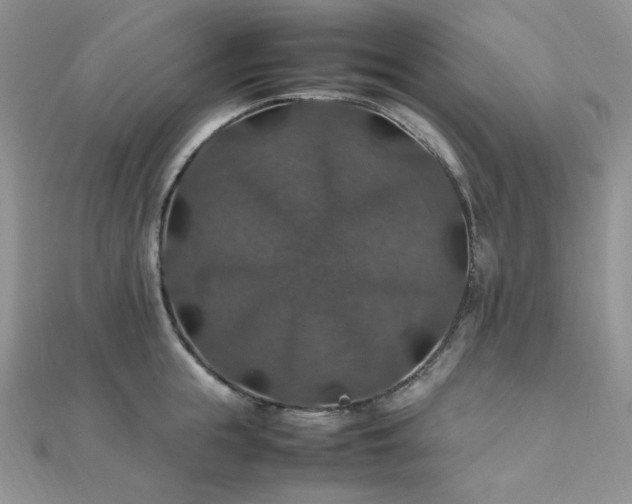 X0000112010855200908031305