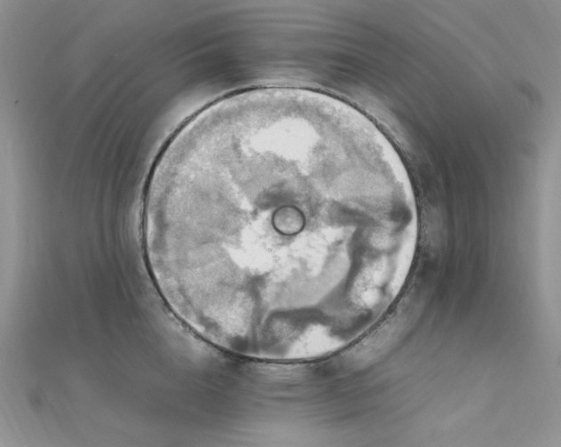 X0000112010856200908031305
