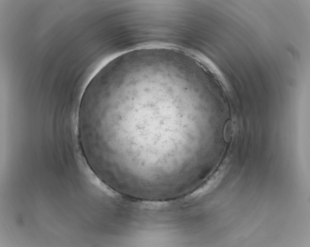 X0000112010860200908031305