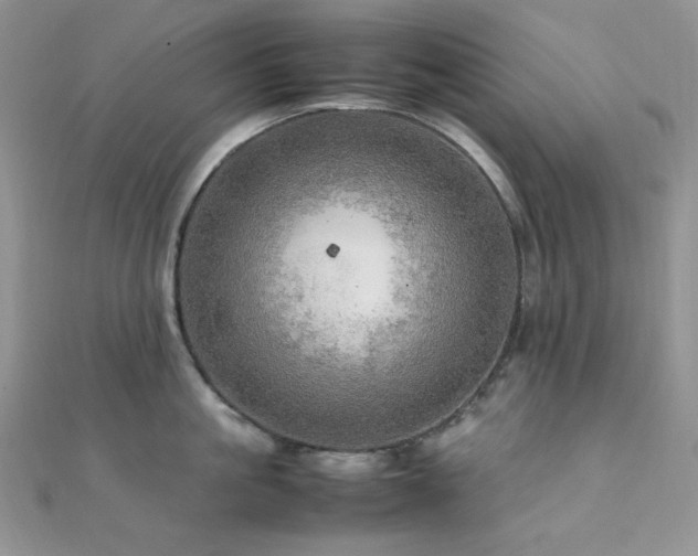 X0000112010861200908031305