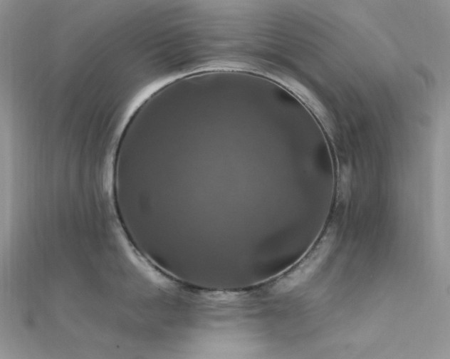 X0000112010862200908031305