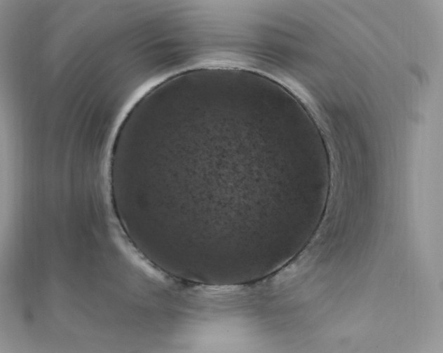 X0000112010864200908031305
