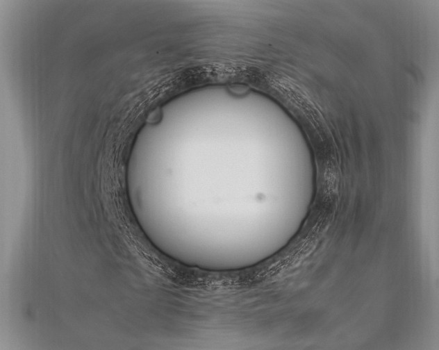 X0000112010865200908031305