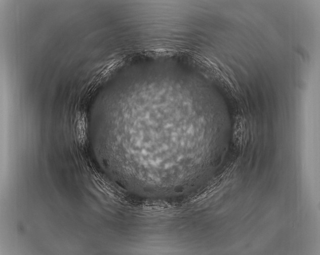 X0000112010866200908031305
